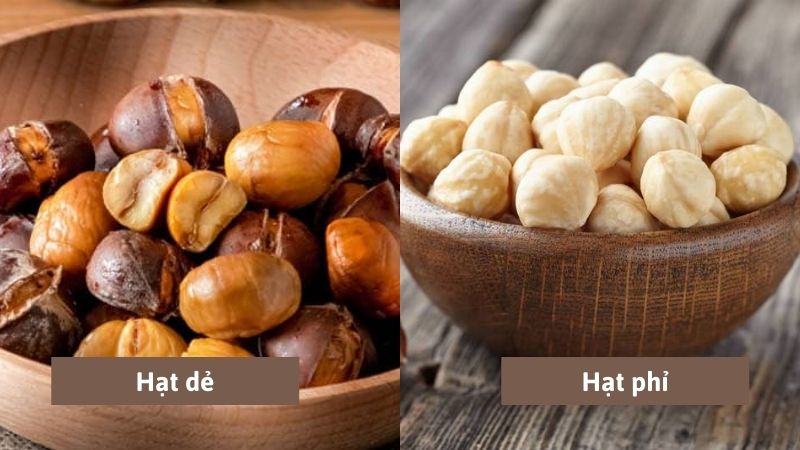 C&aacute;ch ph&acirc;n biệt hạt phỉ v&agrave; hạt dẻ